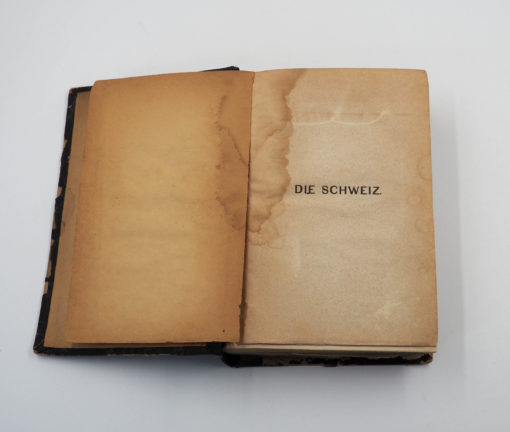 Baedeker: "Die Schweiz, nebst den angrezenden Theilen*. Handbuch für Reisende" 1869 – Bild 3