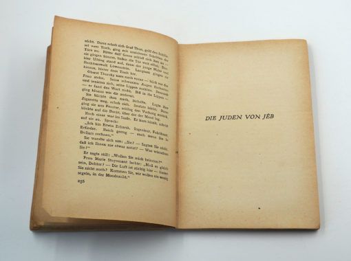 Hanns Heinz Ewers "Nachtmahr. Seltsame Geschichten" 1. Auflage – Bild 5